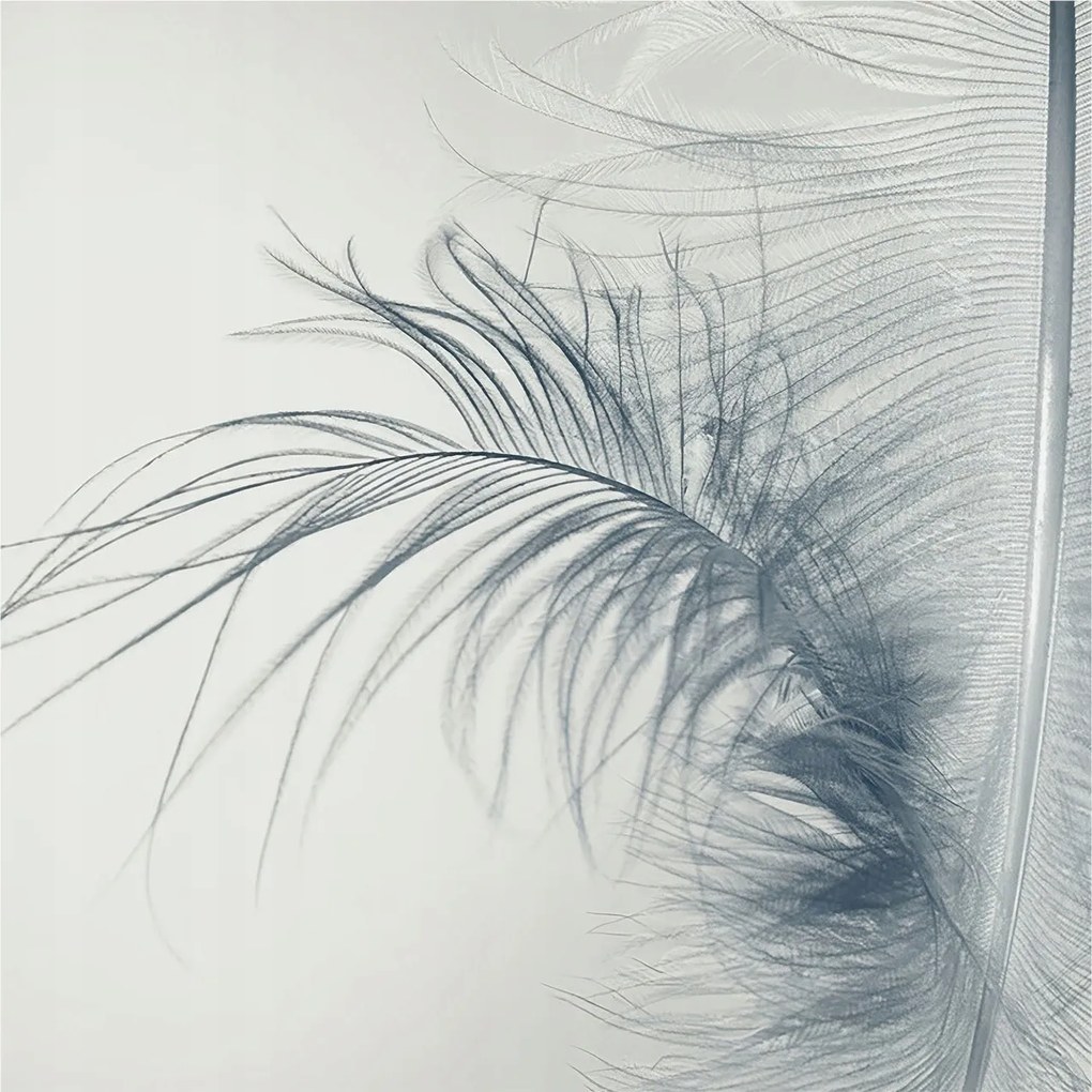 Divatos Flizelin tapéta 3D ragasztóval Fali finom toll 250x250 Ragasztó