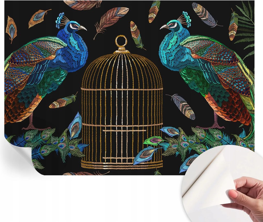 Öntapadós fotótapéta Hálószoba Páva kép 208x146 cm