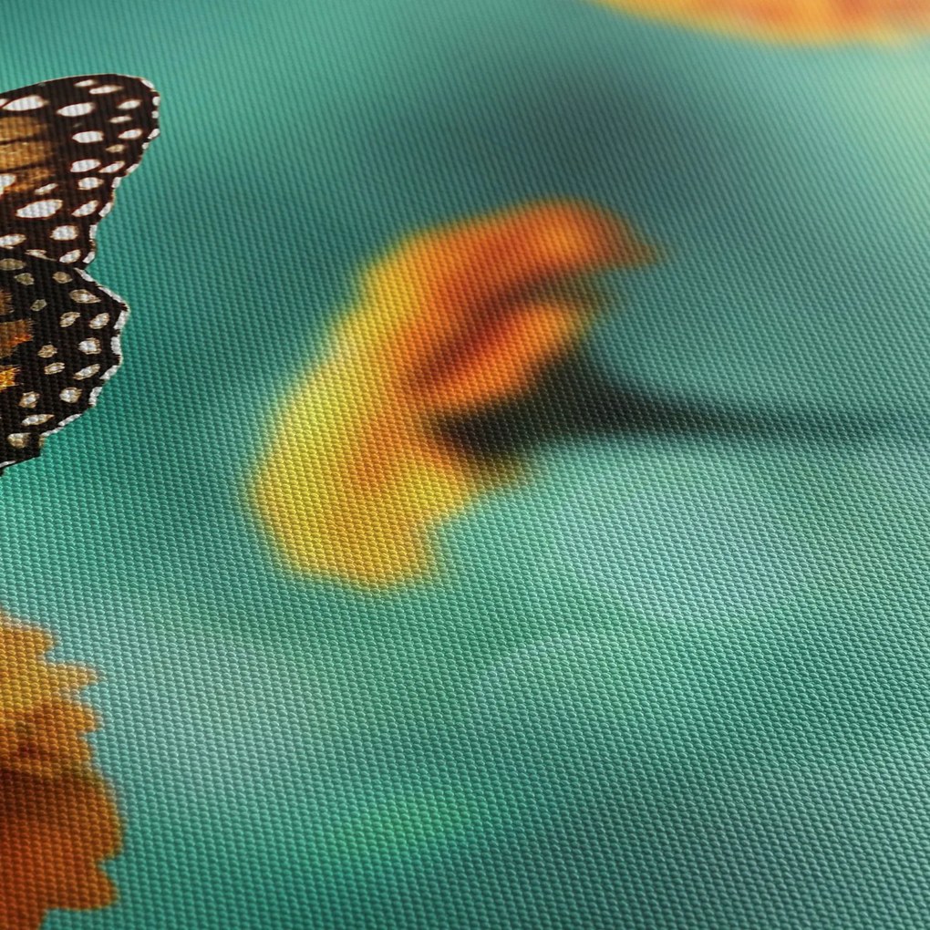 Egy pillangó képe (120x50 cm)