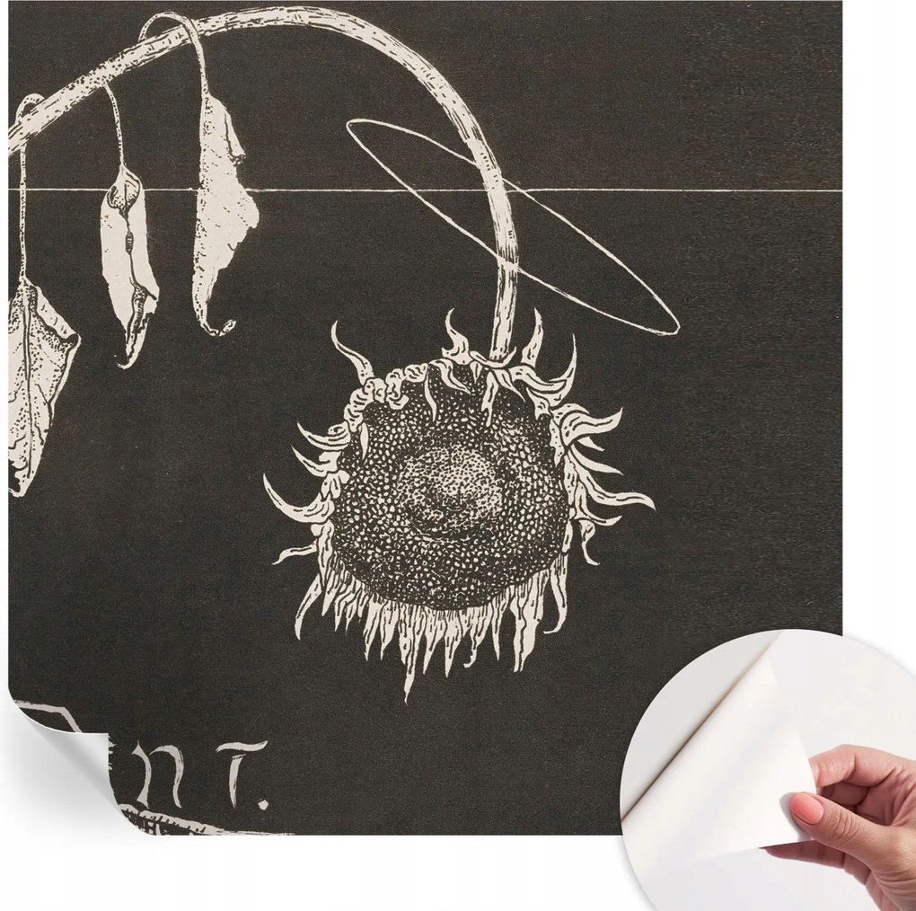 Öntapadós fotótapéta Otthoni szobába Nosztalgikus napraforgó 250x250 cm