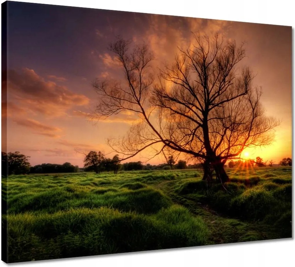 Vászonkép 50x40 Egy este a croissant-ban