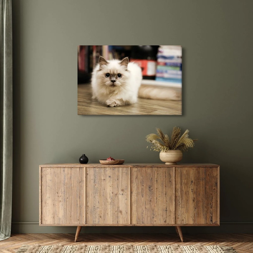 Fehér macska képe (90x60 cm)