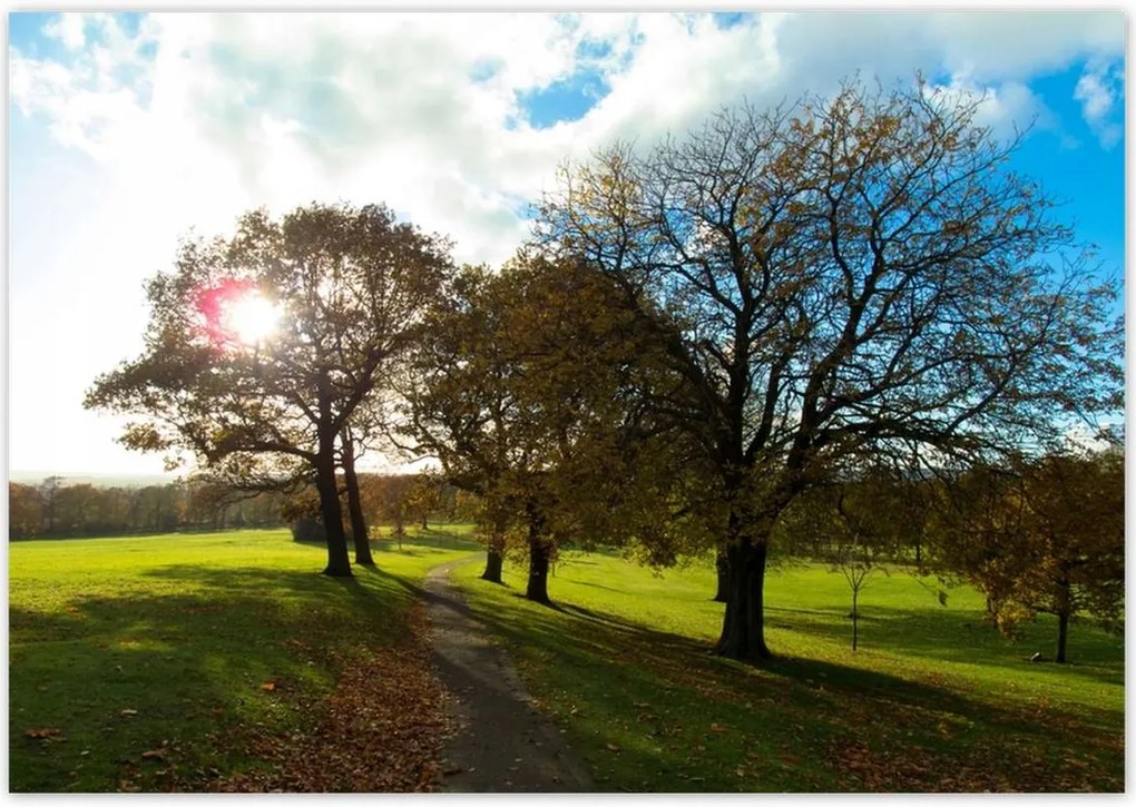 Poszterek 100x70 Őszi tájkép