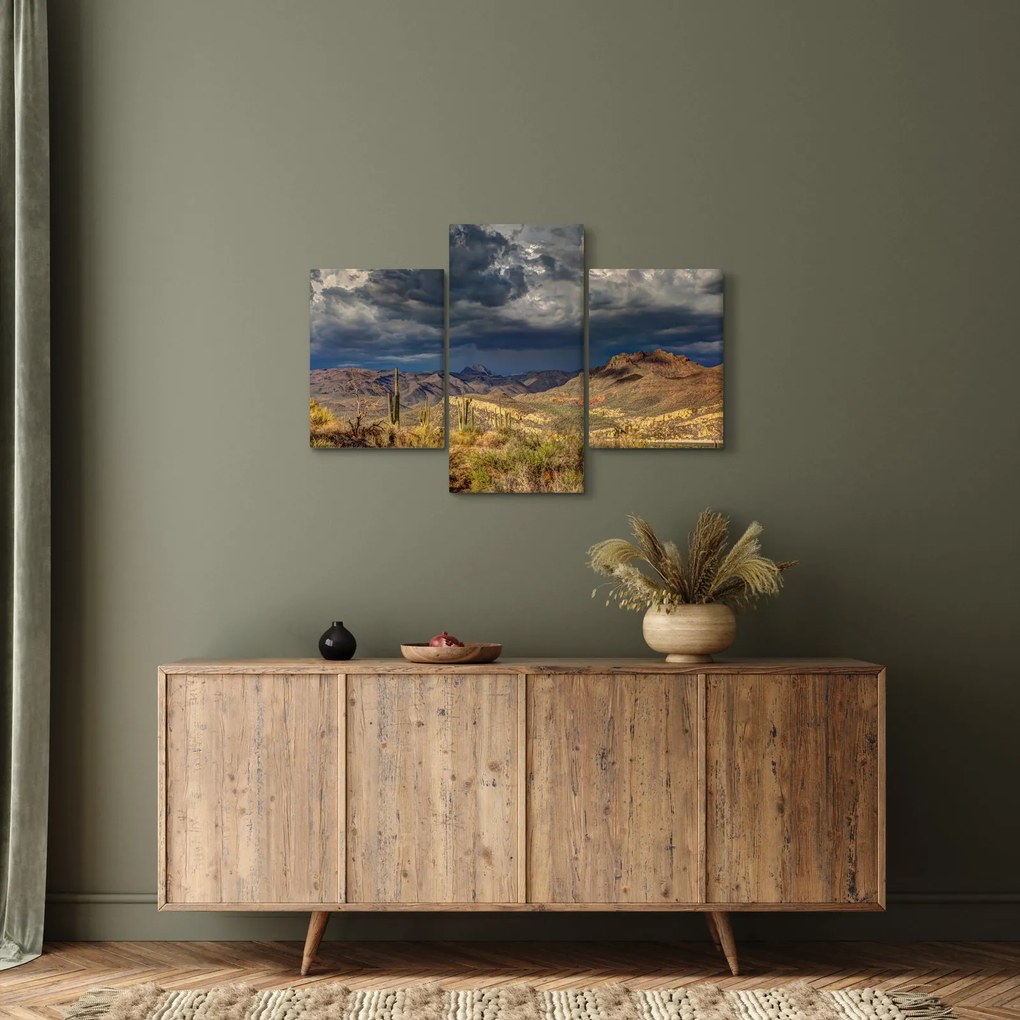 Kép - kaktuszok a természetben (90x60 cm)