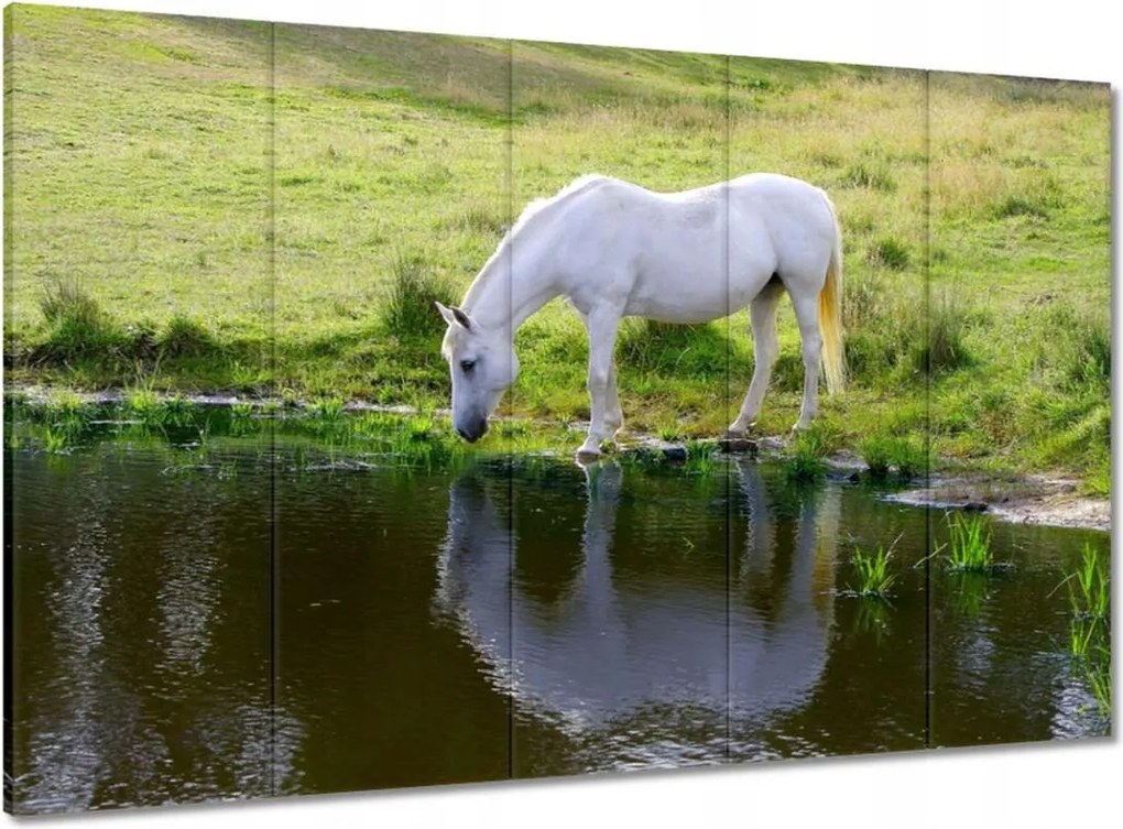 Vászonkép 100x70 Fehér ló