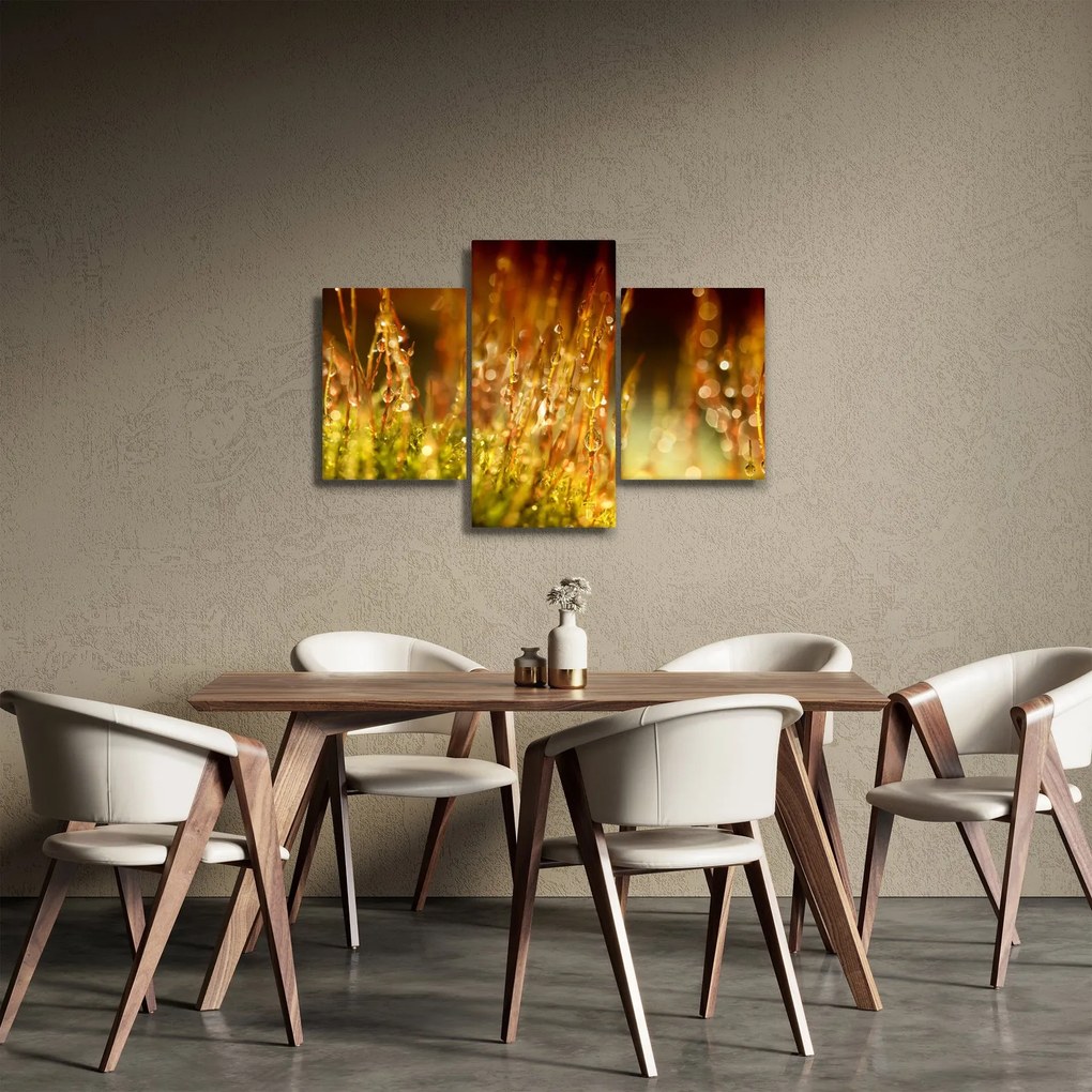 Kép - Harmat részlete (90x60 cm)
