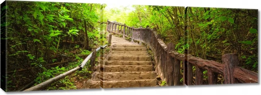 Vászonkép 150x50 Lépcsők az erdőbe