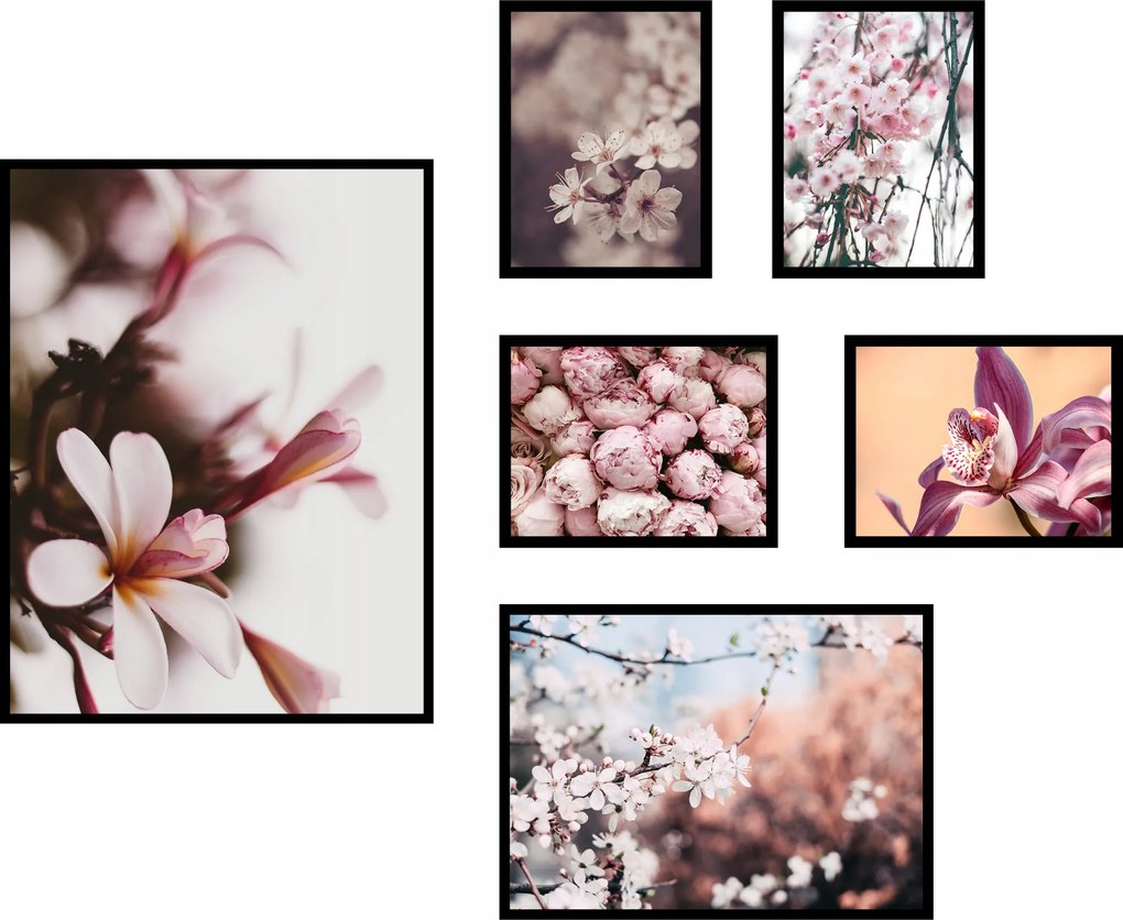 Poszterek 6db-os szett magnólia kép kompozíció