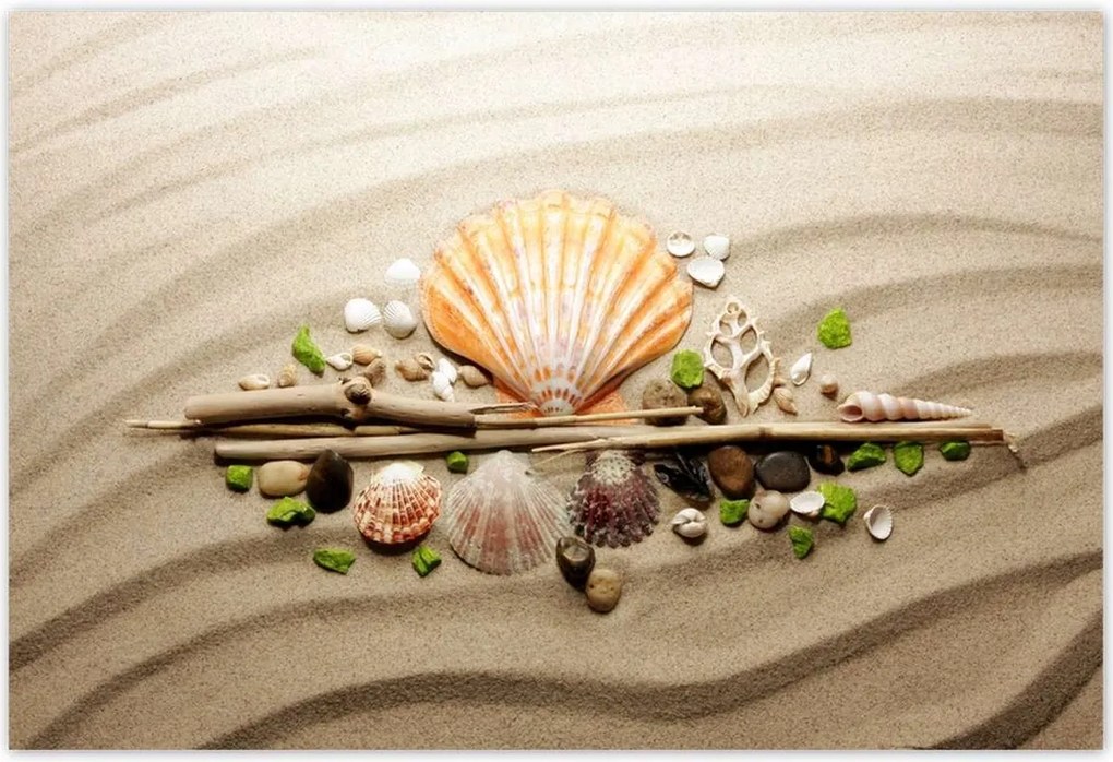 Poszterek 185x125 Kagylók Tengeri homok