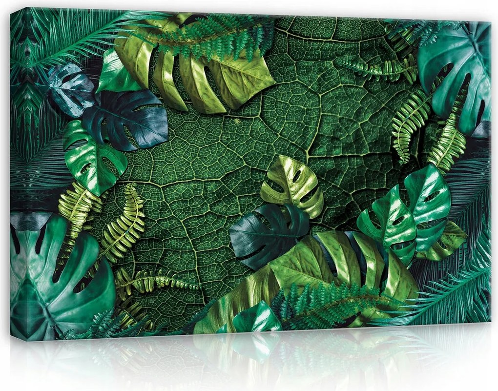 Vászonkép 120x80 Trópusi levelek monstera páfrány dzsungel zöld egzotikus