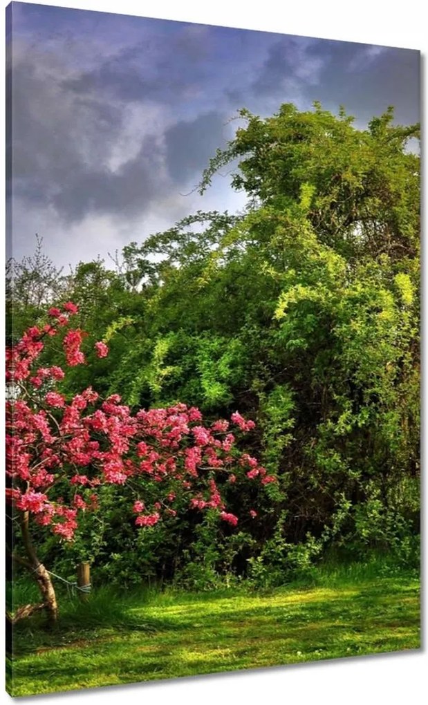 Festmények 70x100 Tájkép