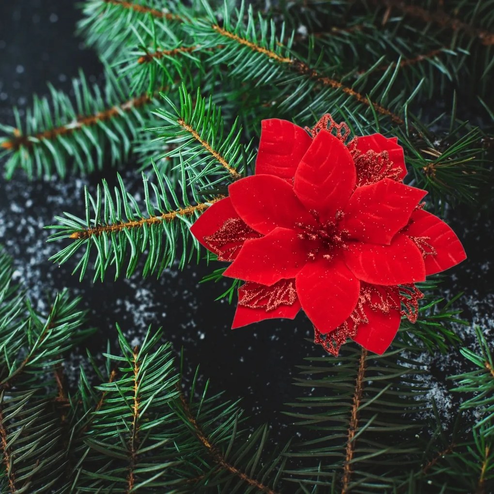 Karácsonyi dekoráció Poinsettia szarvasagancsos,piros, 6 darabos szett