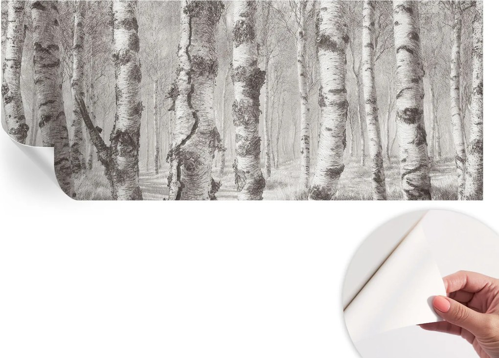 Fotótapéta Dekoratív Fali Tapéta Képekkel Nyírerdő 250x104