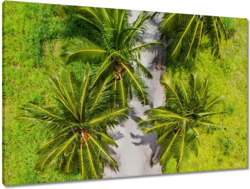 Vászonkép 90x60 Tájkép Látvány