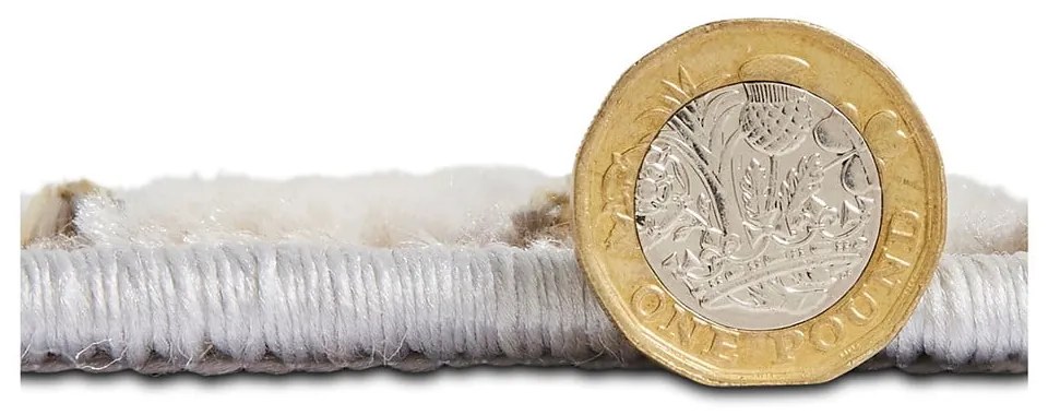 Világosszürke-aranyszínű szőnyeg 80x150 cm Apollo – Think Rugs