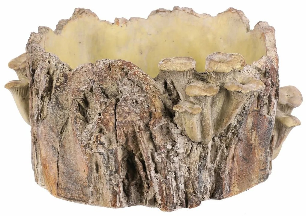 Beton burkolat - tusk with mushrooms, 32 x 29 x 16cm