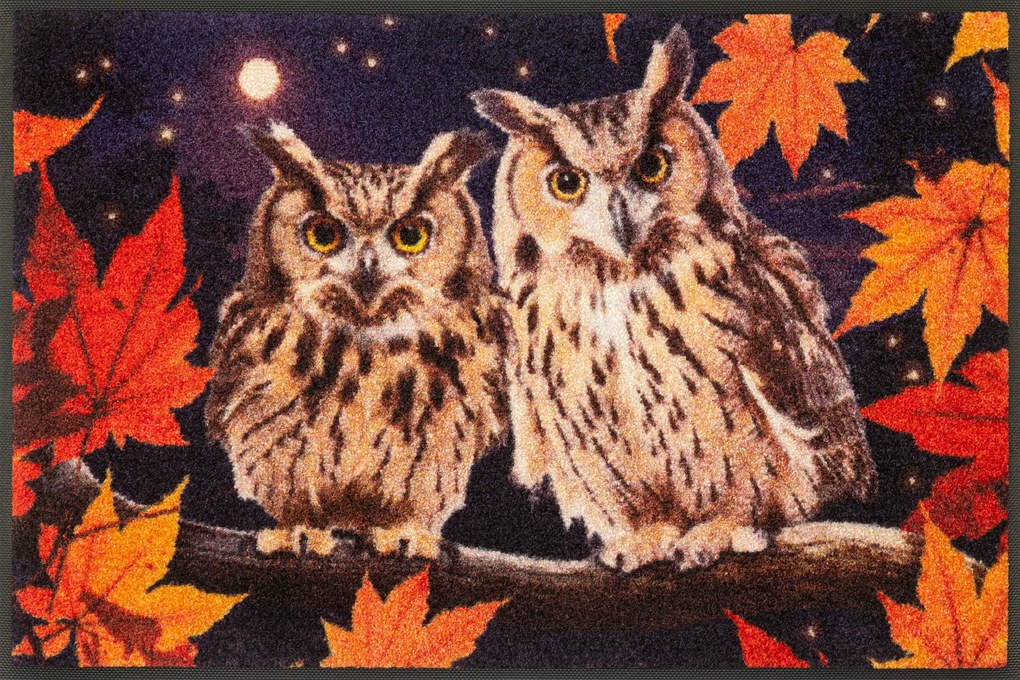 Lábtörlő bejárati szőnyeg|Wash+Dry|Baglyok 50x75cm