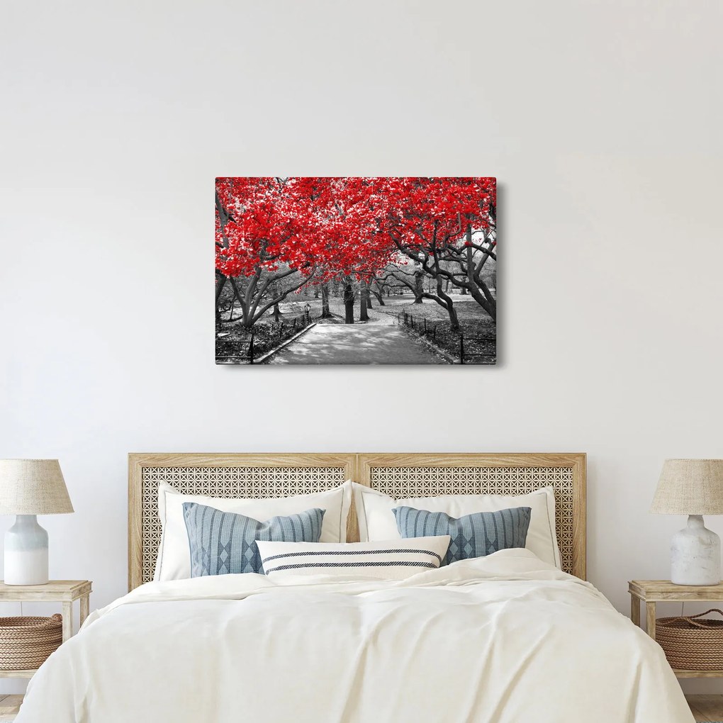 Kép - vörös fák,Central Park, New York (90x60 cm)