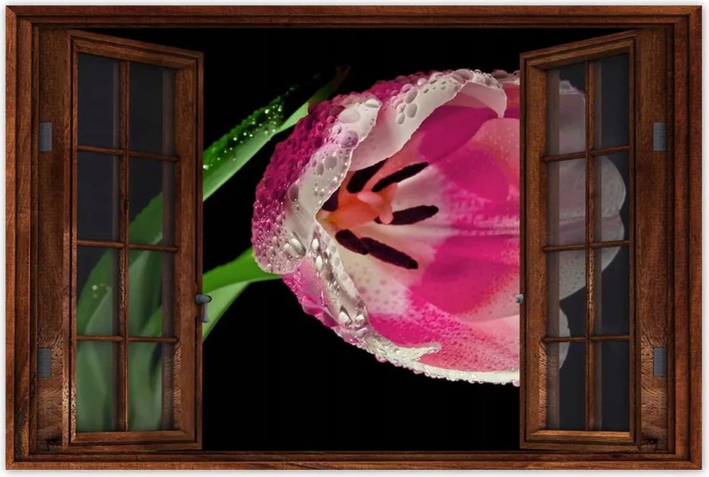 Poszterek 90x60 Rózsaszín tulipán