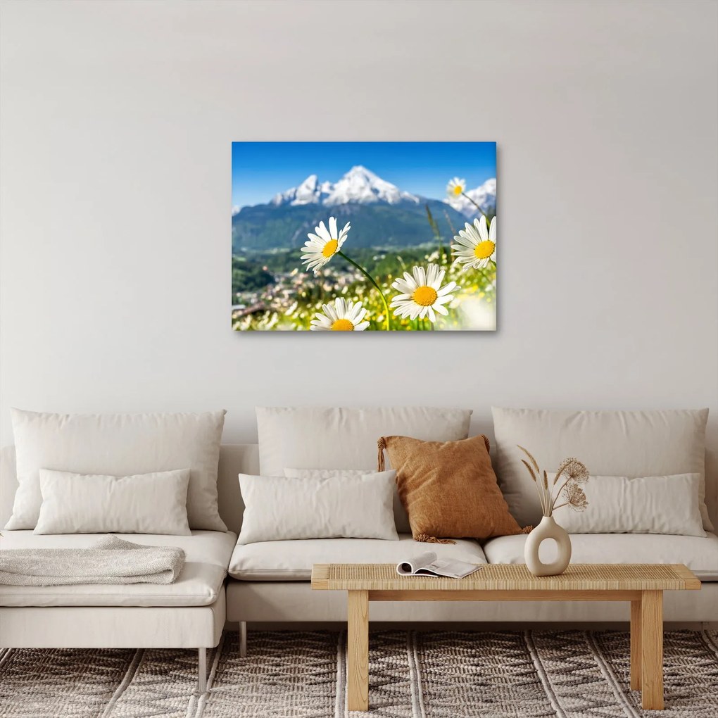Kép - tavasz az Alpokban (70x50 cm)