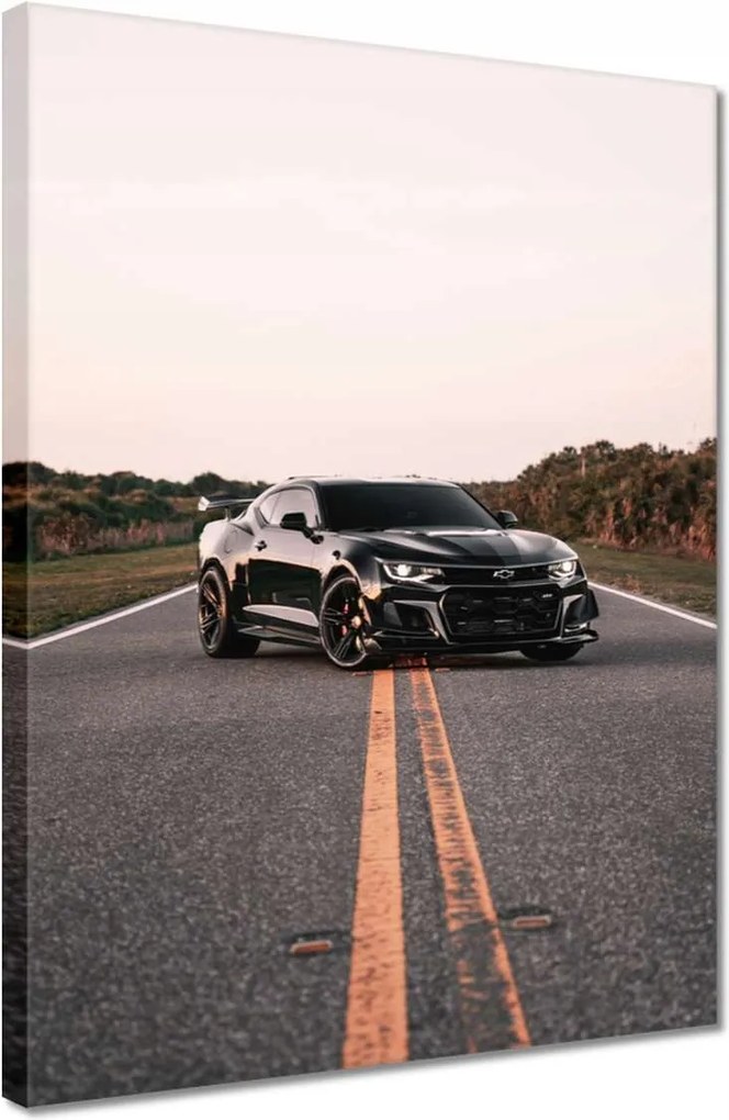 Vászonkép 30x40 Autó Fura Sport