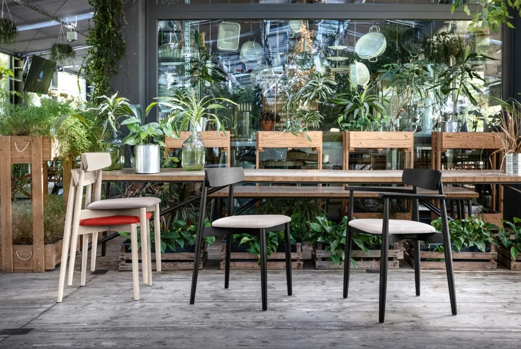 Claretta étkezőszék, több változatban - Miniforms Materiál: Dubově mořený jasan, Látka: skupina A