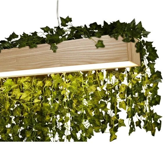 Searchlight 7231 - LED Csillár zsinóron ASH LED/20W/230V