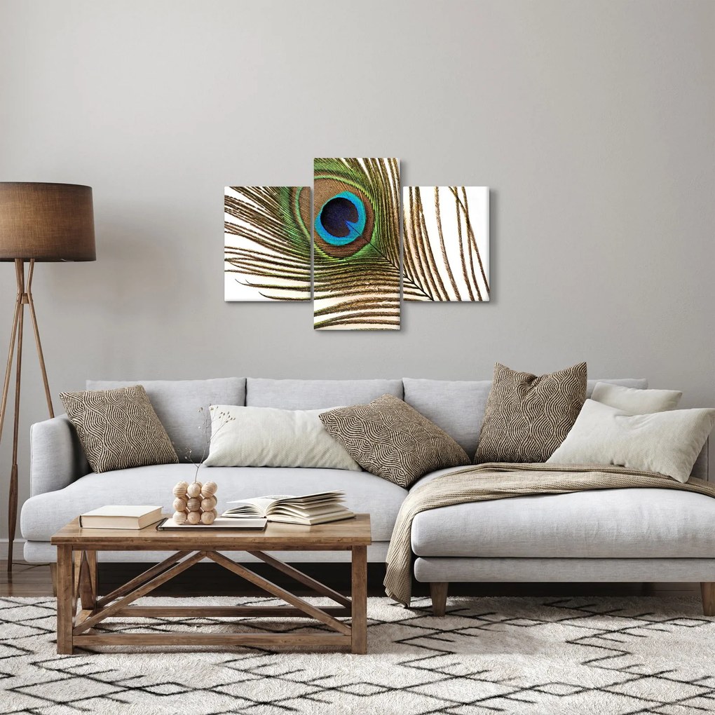 Pávatoll képe (90x60 cm)