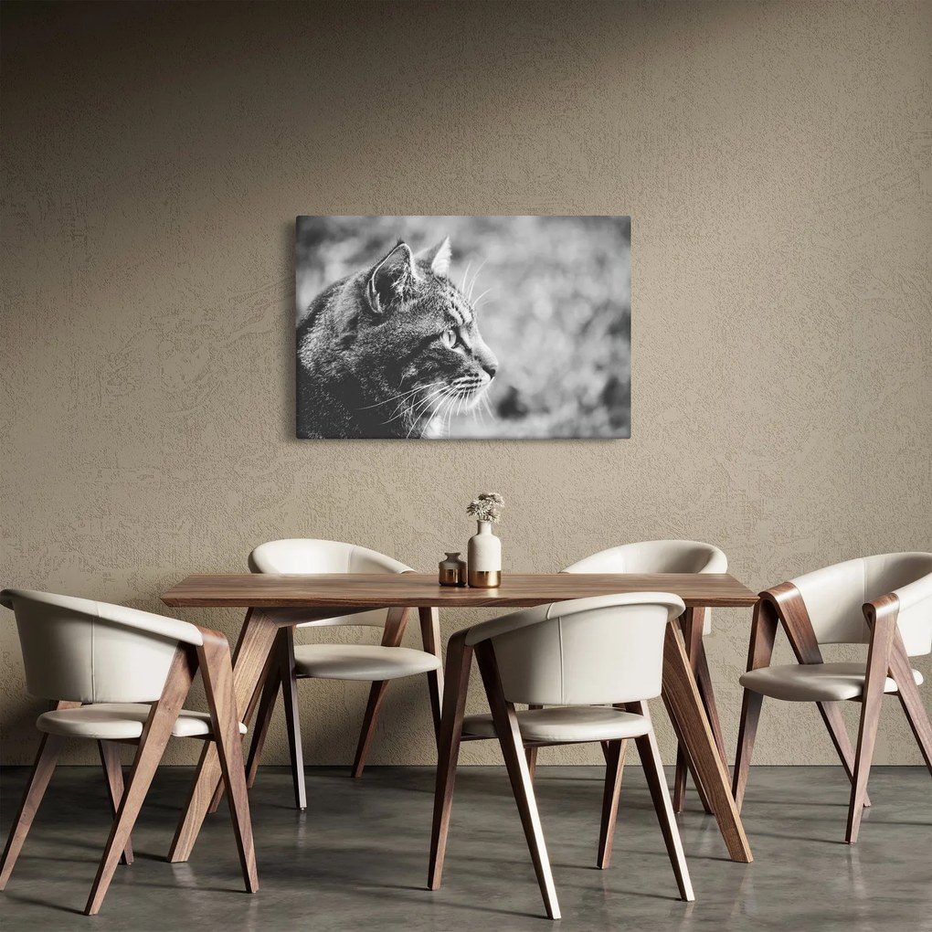 Kép - Macska (90x60 cm)
