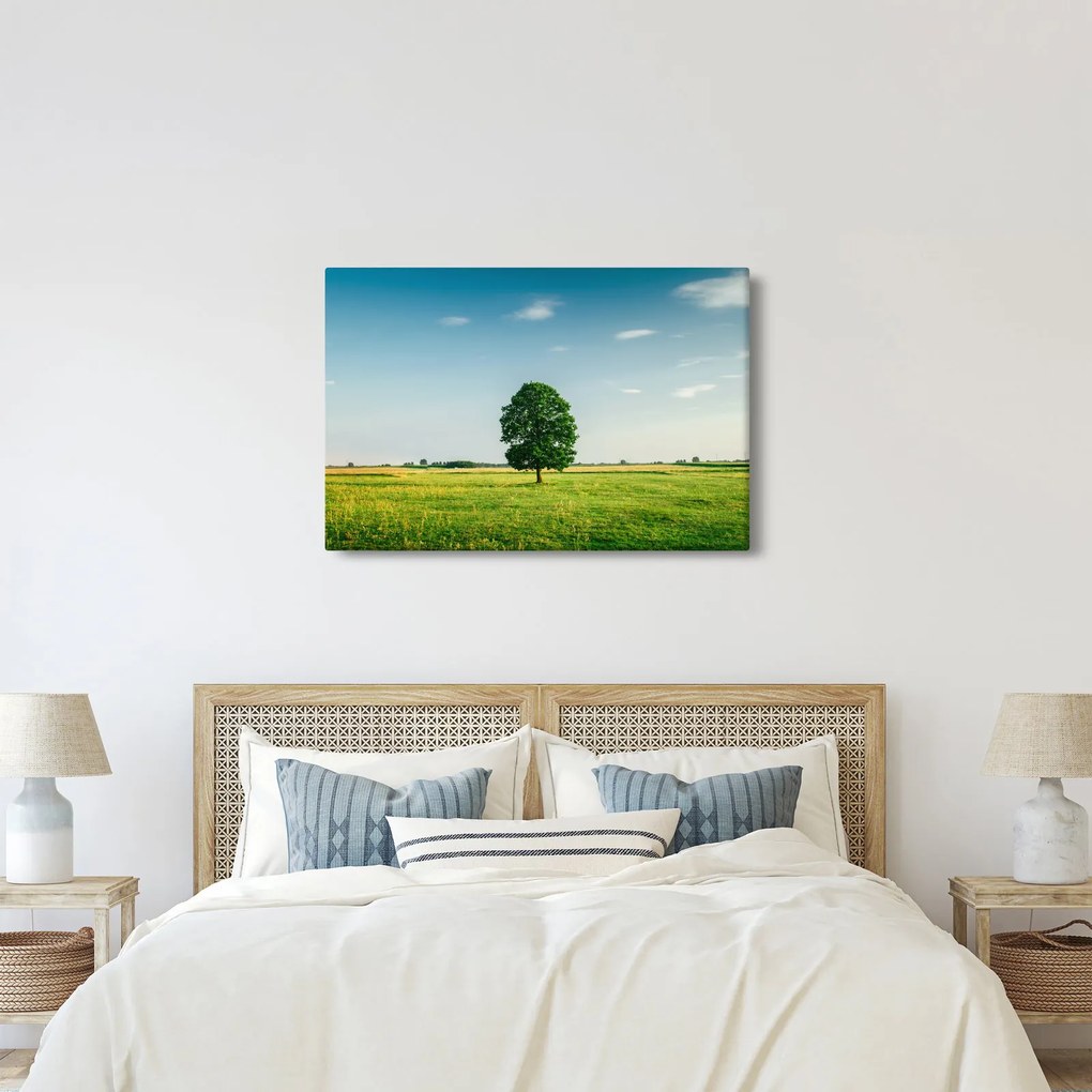 Egy fa képe egy rét közepén (90x60 cm)