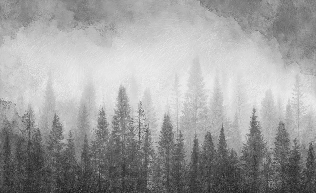 Flizelin fotótapéta Flizelin Designer Erdei köd 416x254 Ragasztó