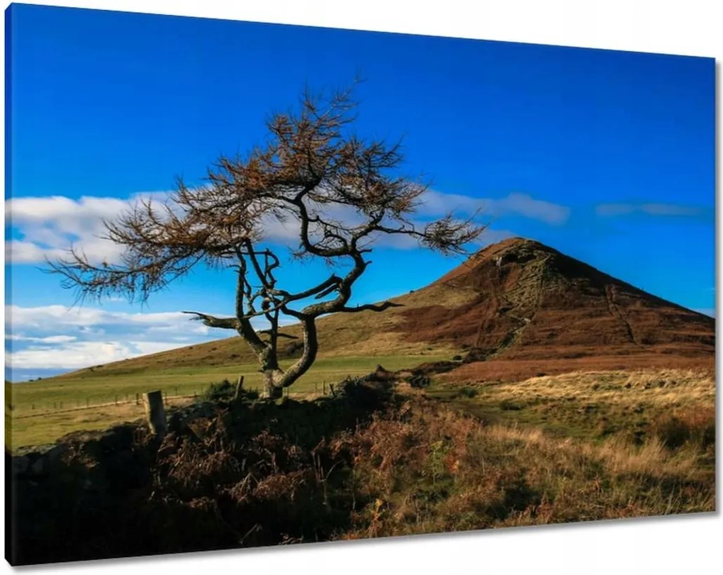 Vászonkép 100x70 Elpusztíthatatlan fa