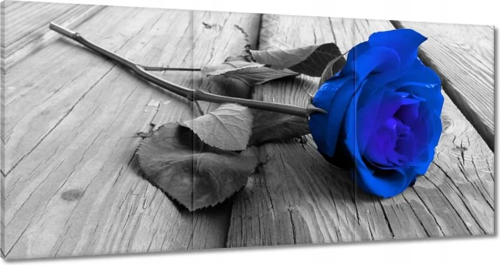 Vászonkép 180x90 Tintarózsa