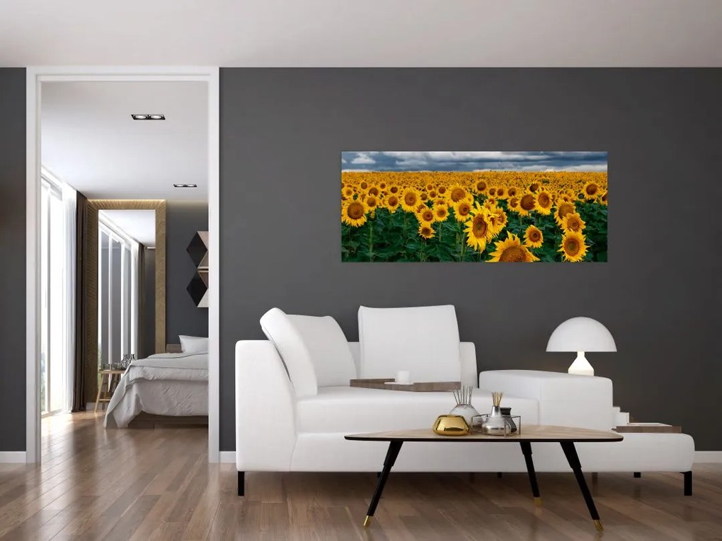 Napraforgó mező képe (120x50 cm)