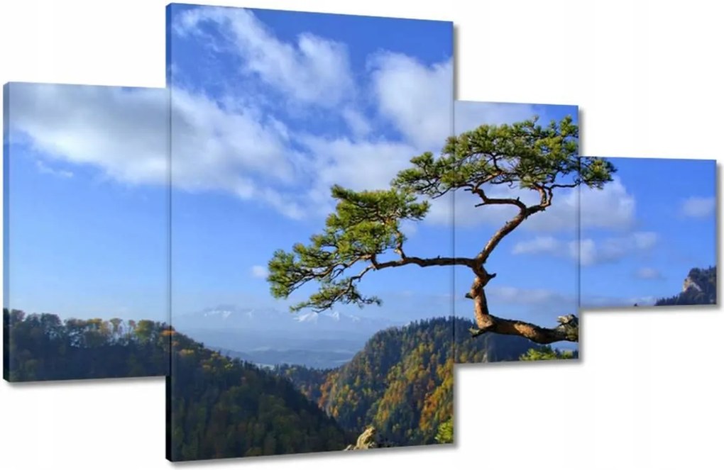 Festmények 130x80 Tájképek Kilátások Tájképek