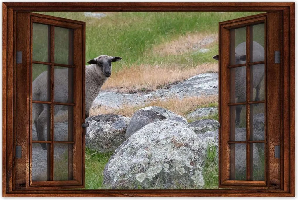 Poszterek 90x60 Juh legeltetés Bárányok Juhok