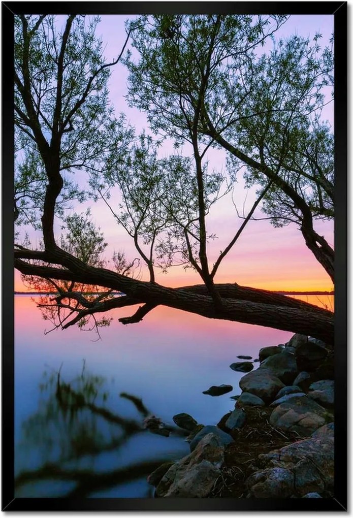 Poszterek keretben 40x60 Sziklák Fa Tó