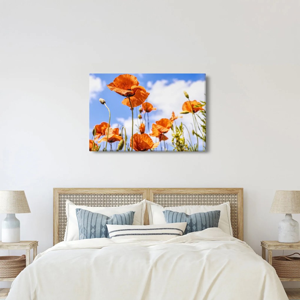 Pipacsok képe (90x60 cm)