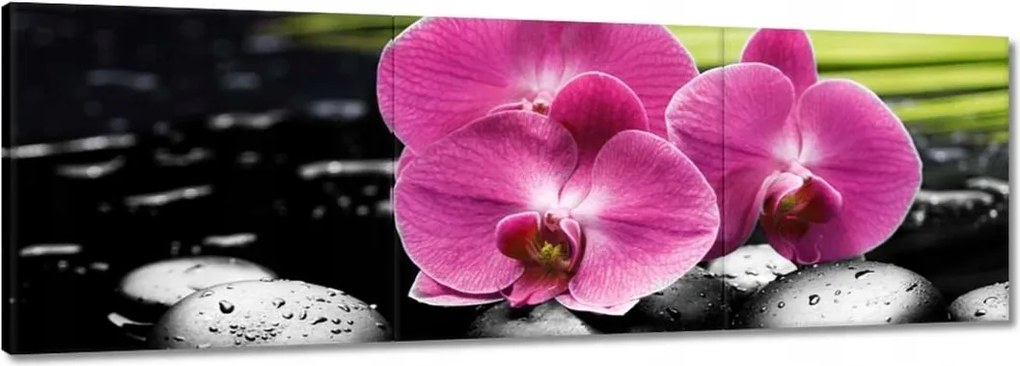 Festmények 120x40 Spa Kövek és leanderek