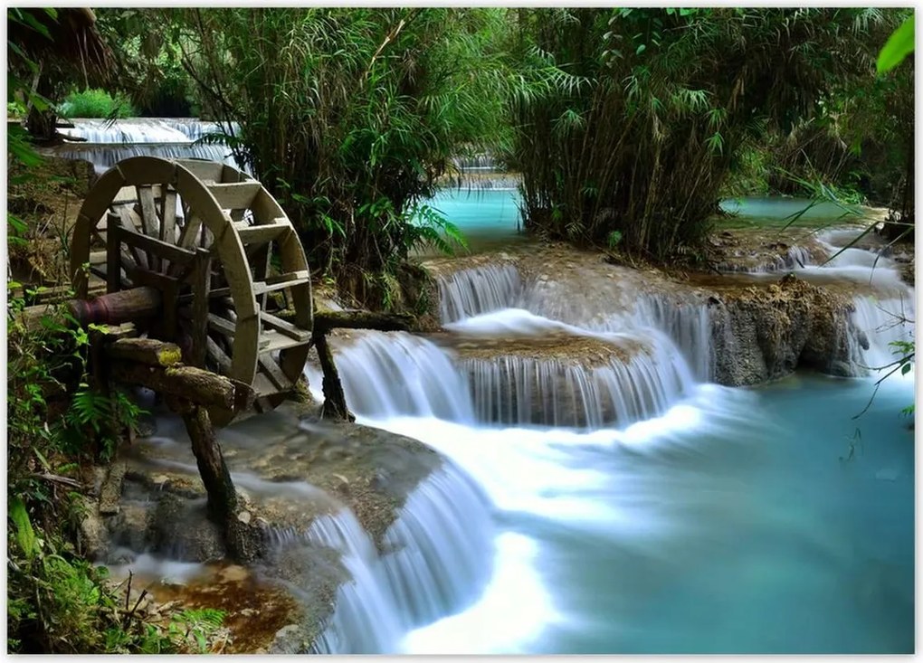 Poszterek 70x50 Fa malom a folyón