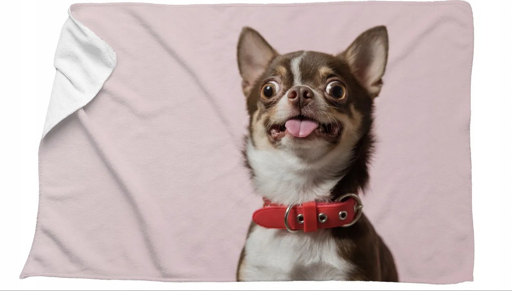 Mikroszálas Törölköző Kutyával Chihuahua 70x100 gyorsan száradó fürdőrózsaszín