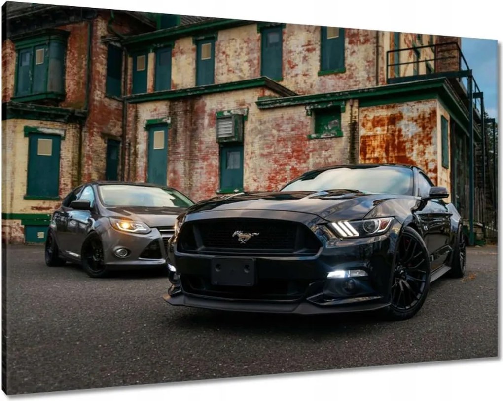 Vászonkép 100x70 Fekete amerikai szörny