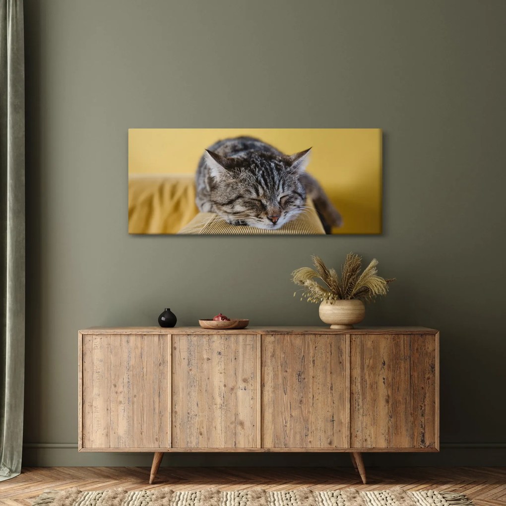 Macska a kanapén képe (120x50 cm)