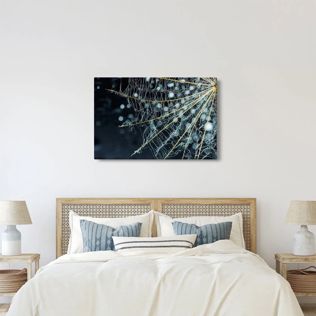 Kép - Virág pókhálóval (90x60 cm)