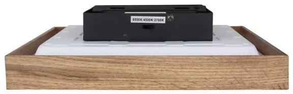 Globo 41595D1-LED CINDERELLA mennyezeti lámpa LED/12W/230V 30 cm 2700-6500K