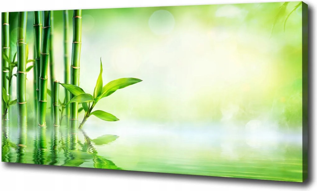 Fotótapéta nagy canvas falikép Bambusz 100x70 cm