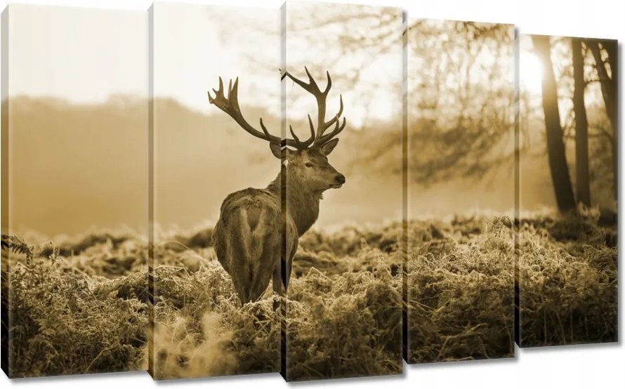 Vászonkép 150x95 Szépia szarvas