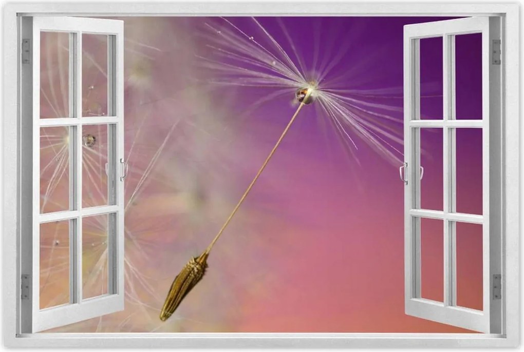 Poszterek 60x40 Pitypang Virág Virágok