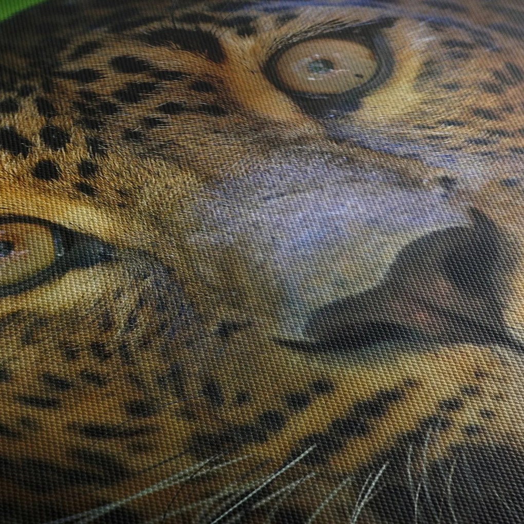 Kép - Leopárd portré, Sri Lanka (120x50 cm)