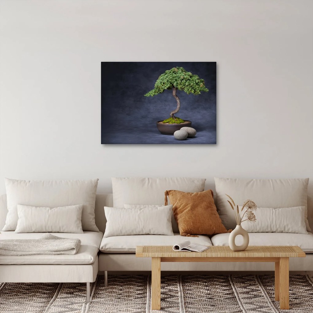 Kép - Bonsai (70x50 cm)